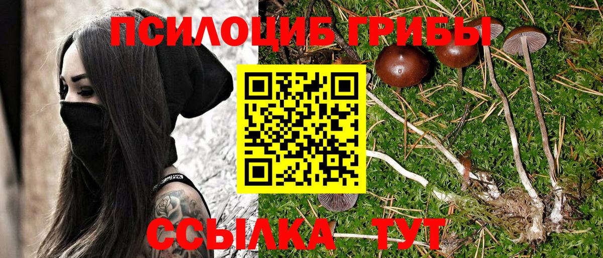 Галлюциногенные грибы прущие грибы  Вход с VPN  Тында 